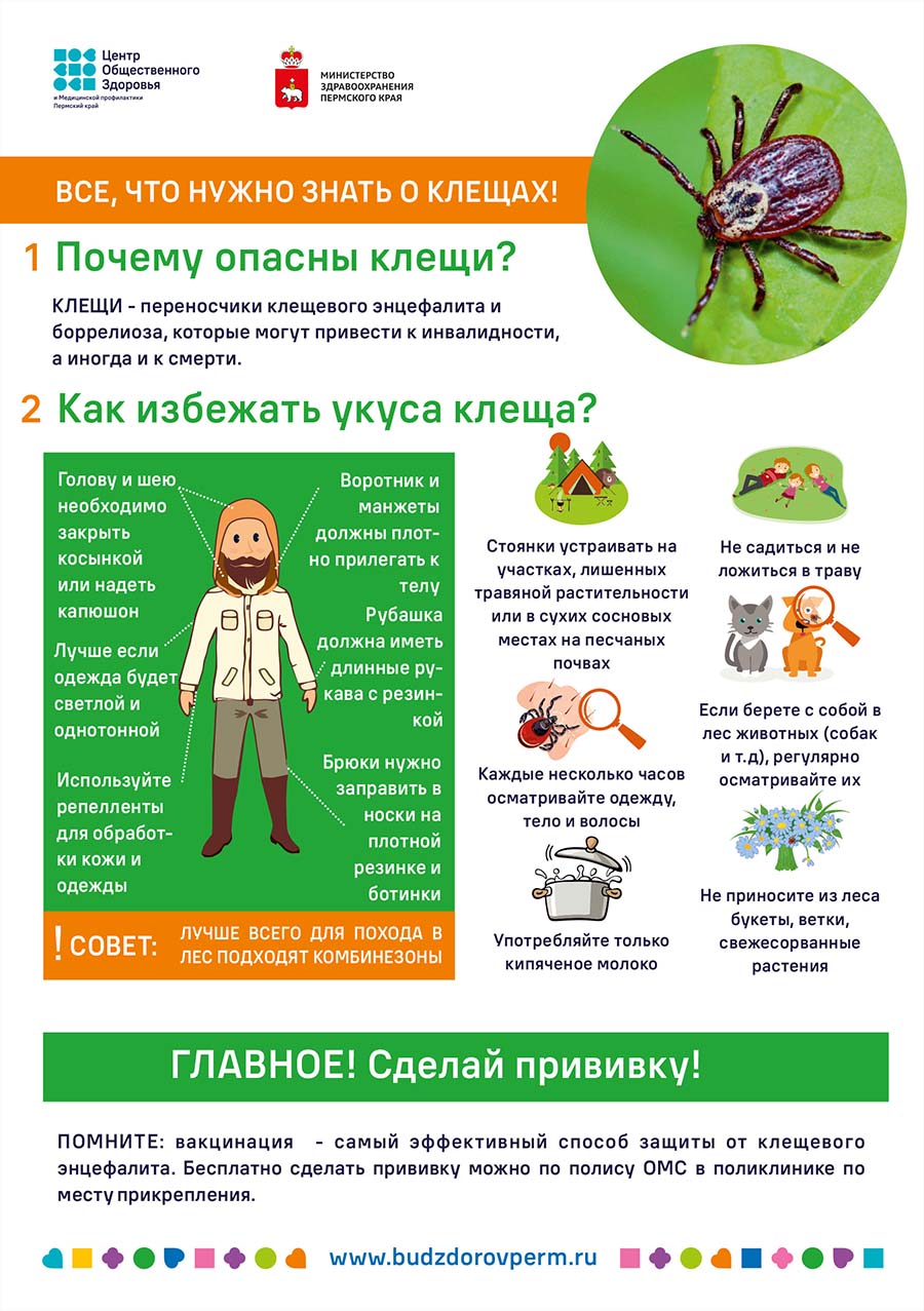 Клещи
