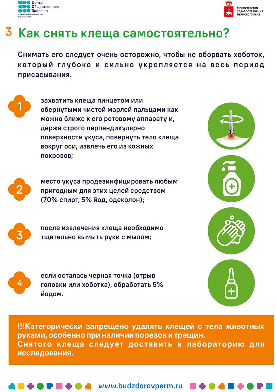 Клещи
